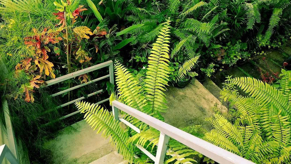 Villa Mariana Kochi 0*,